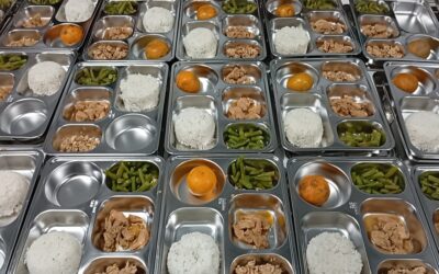 Program Makan Bergizi Gratis Nasional: Peluang Usaha dan Persyaratan Mitra