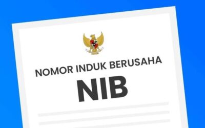 10 Manfaat Memiliki NIB yang Belum Banyak Diketahui Para Pelaku Usaha